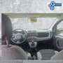 Fiat Panda Panda 1.0 FireFly S&S Hybrid Arancione - thumbnail 9