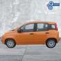 Fiat Panda Panda 1.0 FireFly S&S Hybrid Arancione - thumbnail 1