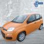 Fiat Panda Panda 1.0 FireFly S&S Hybrid Arancione - thumbnail 4