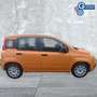Fiat Panda Panda 1.0 FireFly S&S Hybrid Arancione - thumbnail 5