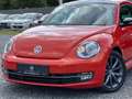 Volkswagen Beetle Lim. Club BMT Navi PDC Panoramadach Portocaliu - thumbnail 2