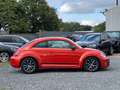 Volkswagen Beetle Lim. Club BMT Navi PDC Panoramadach Orange - thumbnail 6