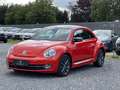 Volkswagen Beetle Lim. Club BMT Navi PDC Panoramadach Arancione - thumbnail 3