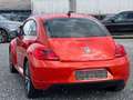 Volkswagen Beetle Lim. Club BMT Navi PDC Panoramadach narančasta - thumbnail 9