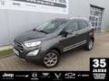 Ford EcoSport 1.0 Titanium Automatik Grijs - thumbnail 1
