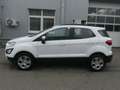 Ford EcoSport 1.0 EcoBoost Aut. COOL&CONNECT Blanco - thumbnail 4