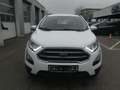 Ford EcoSport 1.0 EcoBoost Aut. COOL&CONNECT Bianco - thumbnail 6