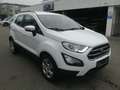 Ford EcoSport 1.0 EcoBoost Aut. COOL&CONNECT Bianco - thumbnail 5