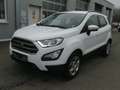 Ford EcoSport 1.0 EcoBoost Aut. COOL&CONNECT Bianco - thumbnail 1