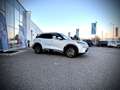 BYD Atto 2 Atto2 DM-i PHEV 18kWh 212PS Boost Österreich Pa... Weiß - thumbnail 6