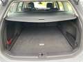 Volkswagen Passat Variant Business 2.0 TDI ACC DSG Kamera Gris - thumbnail 11