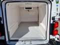 Citroen Jumpy 2.0 HDI 130 PK Maxi Koelwagen Thermoking B100 MAX Blanc - thumbnail 27