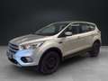 Ford Kuga 1.5 Eco Boost Trend SHZ PDC Tempomat Argintiu - thumbnail 2