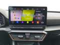 CUPRA Formentor 2.0 TSI DSG VZ Tribe Edition Pano Navi Gris - thumbnail 13