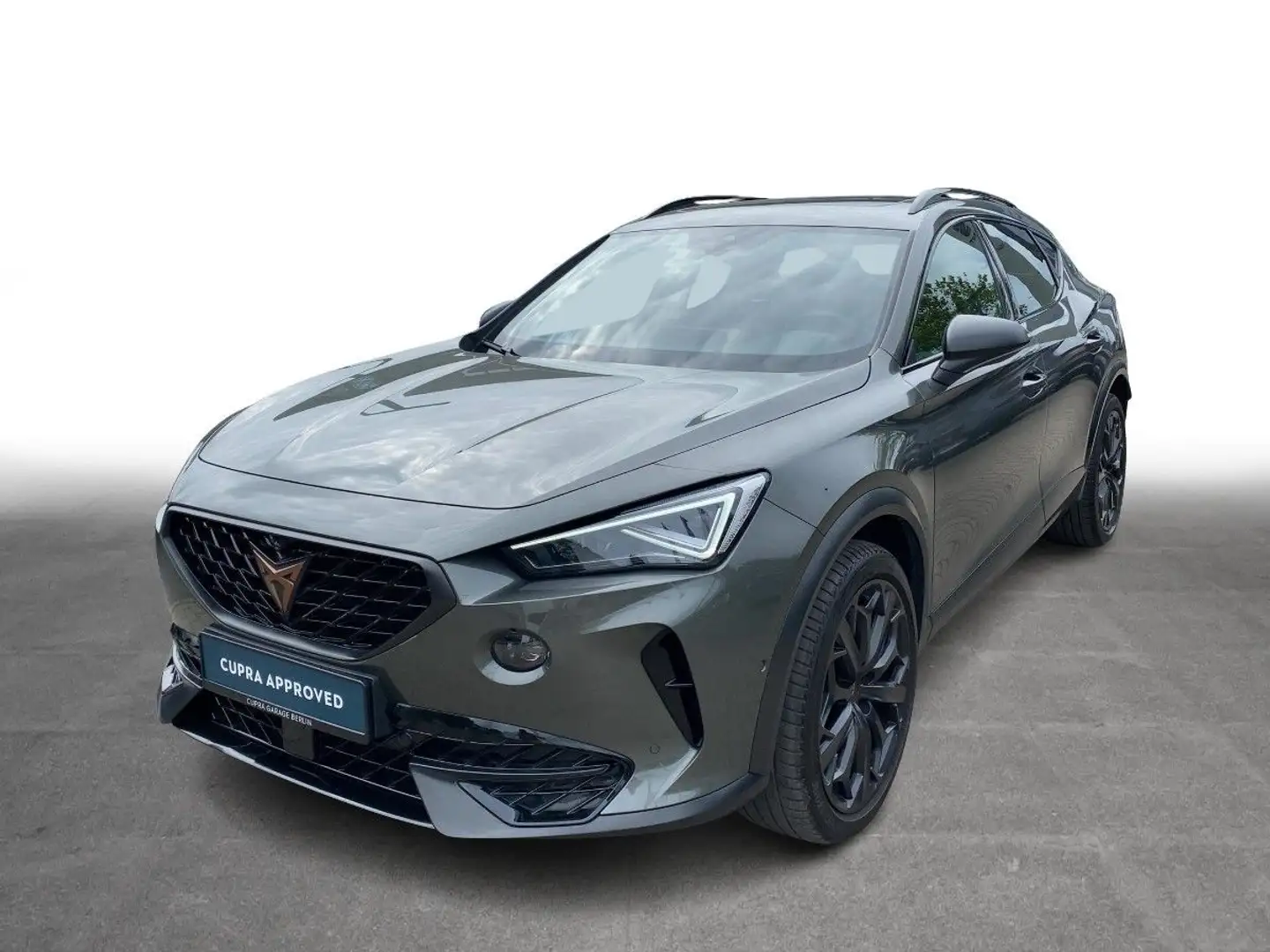 CUPRA Formentor 2.0 TSI DSG VZ Tribe Edition Pano Navi Gris - 2