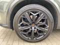 CUPRA Formentor 2.0 TSI DSG VZ Tribe Edition Pano Navi Gris - thumbnail 14