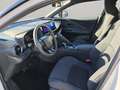 Toyota C-HR 2.0 Hybrid Black&White - thumbnail 10