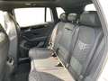 Volkswagen Tiguan R-Line 2,0 TSI DSG 4M+Pano+AHK+Matrix+ACC Weiß - thumbnail 9