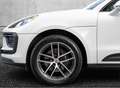 Porsche Macan 2.0 White - thumbnail 15