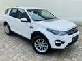 Land Rover Discovery Sport +AHK+DAB+CAM+L+N+X+ Weiß - thumbnail 3