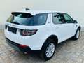 Land Rover Discovery Sport +AHK+DAB+CAM+L+N+X+ Weiß - thumbnail 4