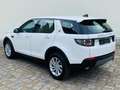 Land Rover Discovery Sport +AHK+DAB+CAM+L+N+X+ Weiß - thumbnail 5