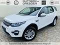 Land Rover Discovery Sport +AHK+DAB+CAM+L+N+X+ Weiß - thumbnail 1