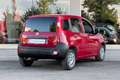 Fiat Panda Panda 1.3 mjt 16v Easy 75cv Rosso - thumbnail 5