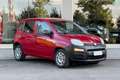 Fiat Panda Panda 1.3 mjt 16v Easy 75cv Rosso - thumbnail 7