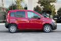 Fiat Panda Panda 1.3 mjt 16v Easy 75cv Rosso - thumbnail 6