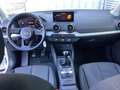 Audi Q2 30 TFSI, LED, CarPlay, Sitzh., Navi Vorbereit Weiß - thumbnail 10