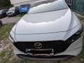 Mazda 3 Nagisa 2,5L e-SKYACTIV-G // Preis VB Weiß - thumbnail 10