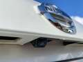 Nissan Juke 1.2 DIG-T - 115 - STOP/START - BUSINESS EDITION -  Blanc - thumbnail 23