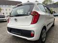Kia Picanto Edition 7 "II.Hand - Klima - HU & AU 09/27" Weiß - thumbnail 5