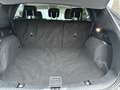 Ford Kuga 2.5 Plug-In Hybrid Titanium X ACC LED Ganzjahresre Gris - thumbnail 7