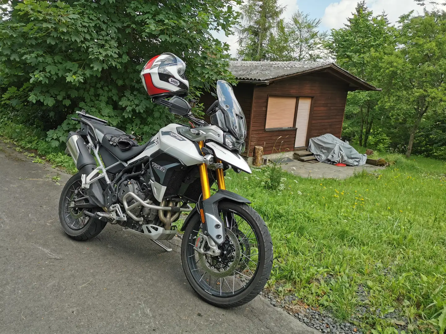 Triumph Tiger 900 Rally Pro + Topcase Fehér - 2
