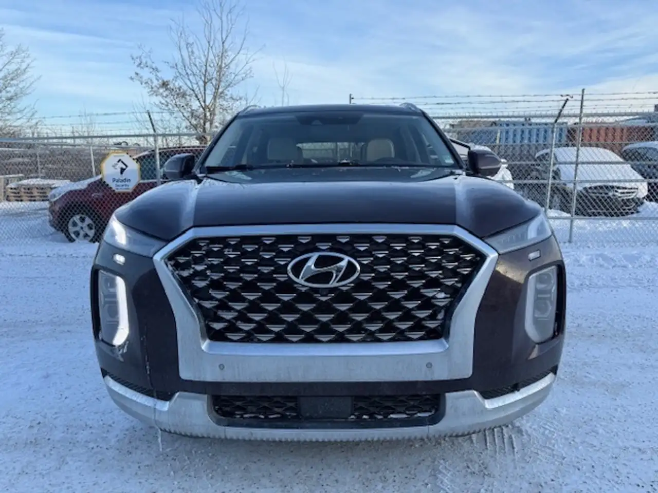 Hyundai PALISADE снимка Hyundai PALISADE