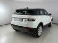 Land Rover Range Rover Evoque 5 Porte 2.0 TD4 SE Dynamic White - thumbnail 8