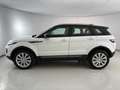 Land Rover Range Rover Evoque 5 Porte 2.0 TD4 SE Dynamic White - thumbnail 3