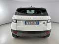 Land Rover Range Rover Evoque 5 Porte 2.0 TD4 SE Dynamic White - thumbnail 4