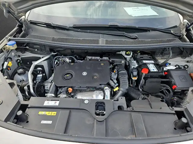 DS Automobiles DS 7 view 6