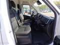 Citroen JUMPER Blanc - thumbnail 13