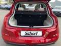 GWM ORA 03 400 ProPlus * Navi Schiebedach PDC Rü.CAM LED Mass Rouge - thumbnail 6