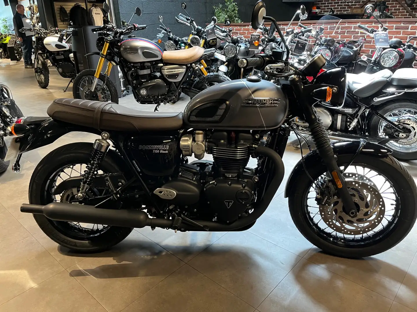 Triumph Bonneville T120 Gri - 2
