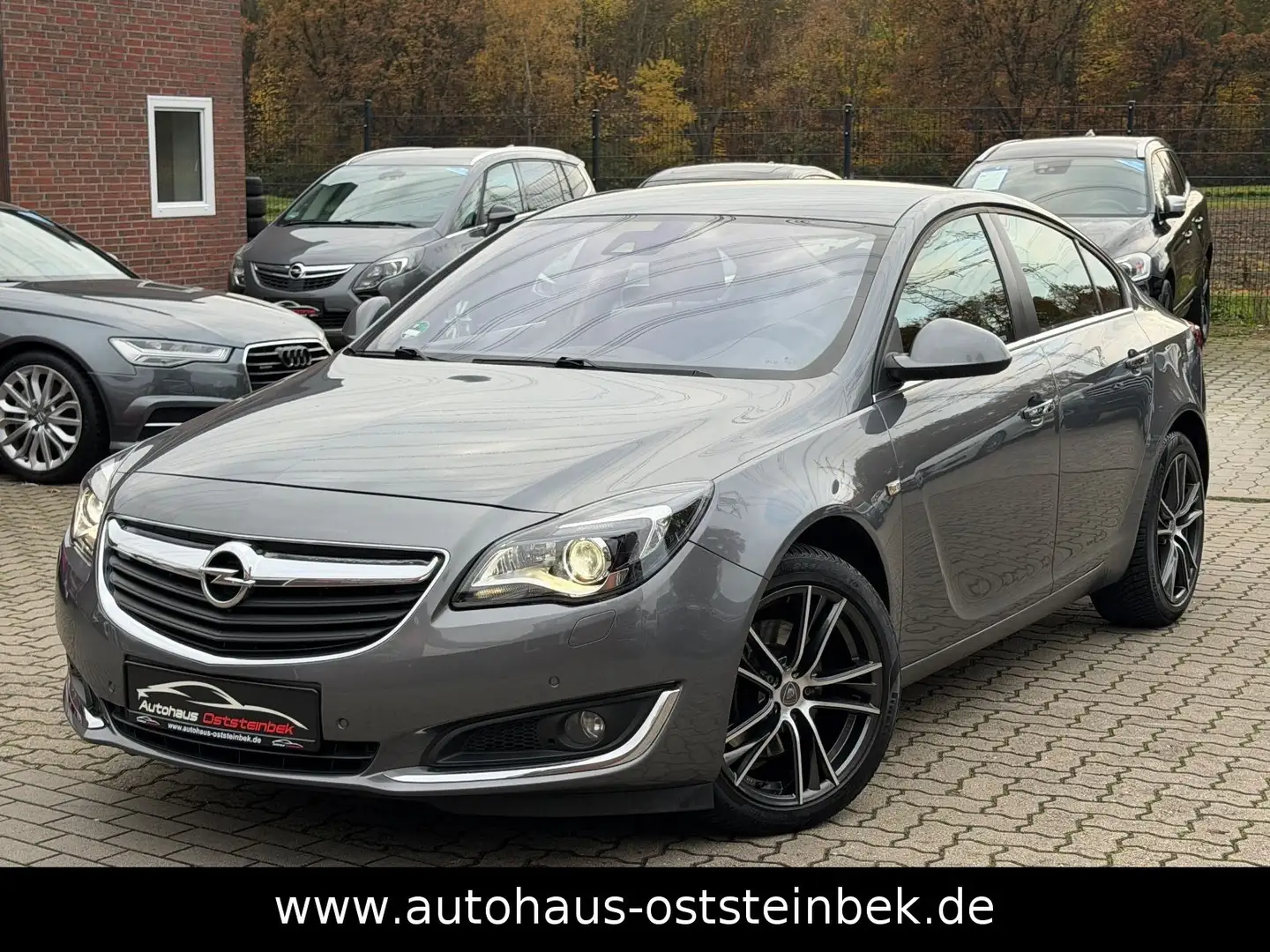 Opel Insignia A 2.0 CDTI BUSINES EDITION/XENON/AHK/ Gris - 1