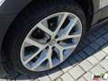 Volkswagen Polo Cross 1.4 TDI DSG BlueMotion Tech. Grau - thumbnail 20