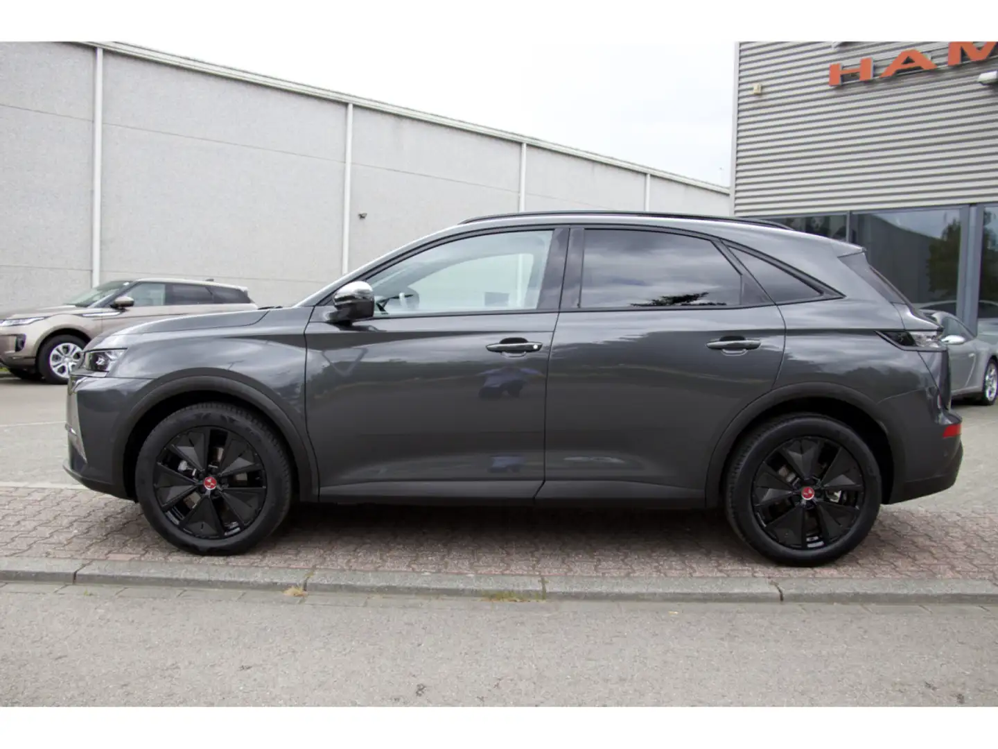 DS Automobiles DS 7 BlueHDI 130 Aut. Performance Line+ Gris - 2