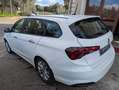 Fiat Tipo Tipo SW II 2016 SW 1.6 mjt Easy Business s Bianco - thumbnail 10