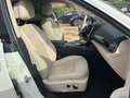 Maserati Levante 3.0 V6 Gransport 250cv my20 Weiß - thumbnail 9