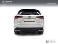 Lexus NX 300 300h Premium 2WD Blanco - thumbnail 4